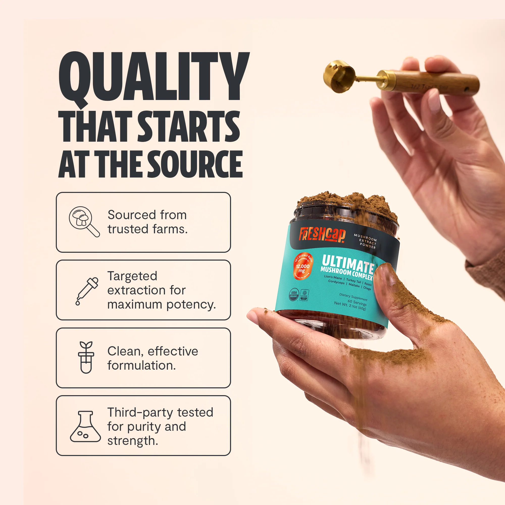 Organic Mushroom Extract Powder Blend - Image 6
