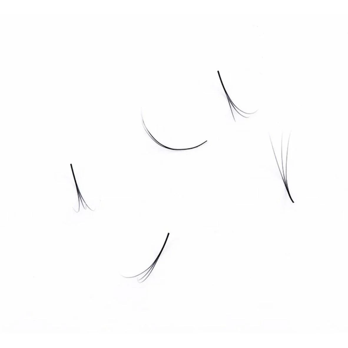 VIP Eyelashes -Pre Fanned Lash Extrensions 12 Lines  3D - Image 6