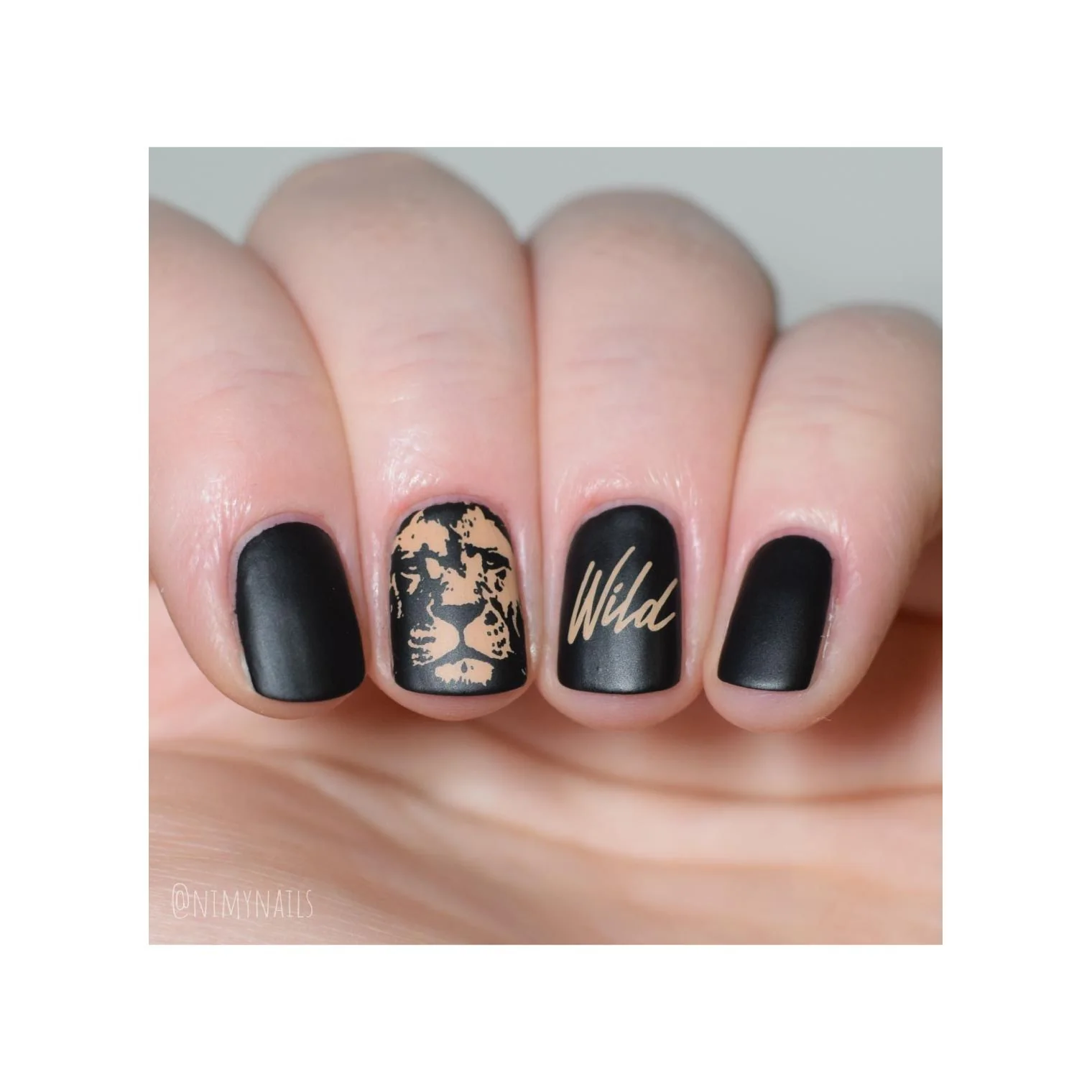 Wild & Fierce: Big Cats - Image 6