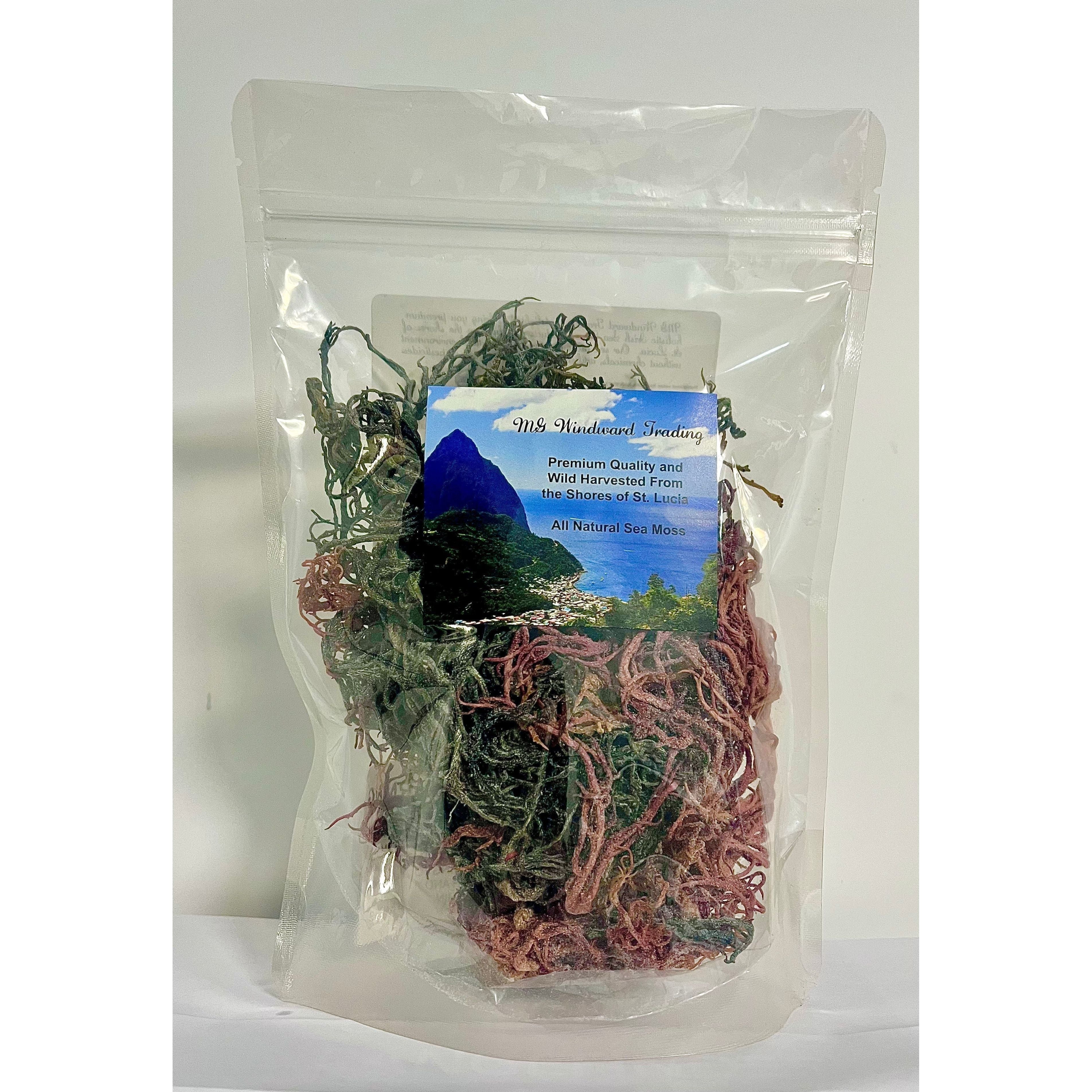 Pure Certified Wild Harvested Full Spectrum Organic Raw Sea Moss - Image 3