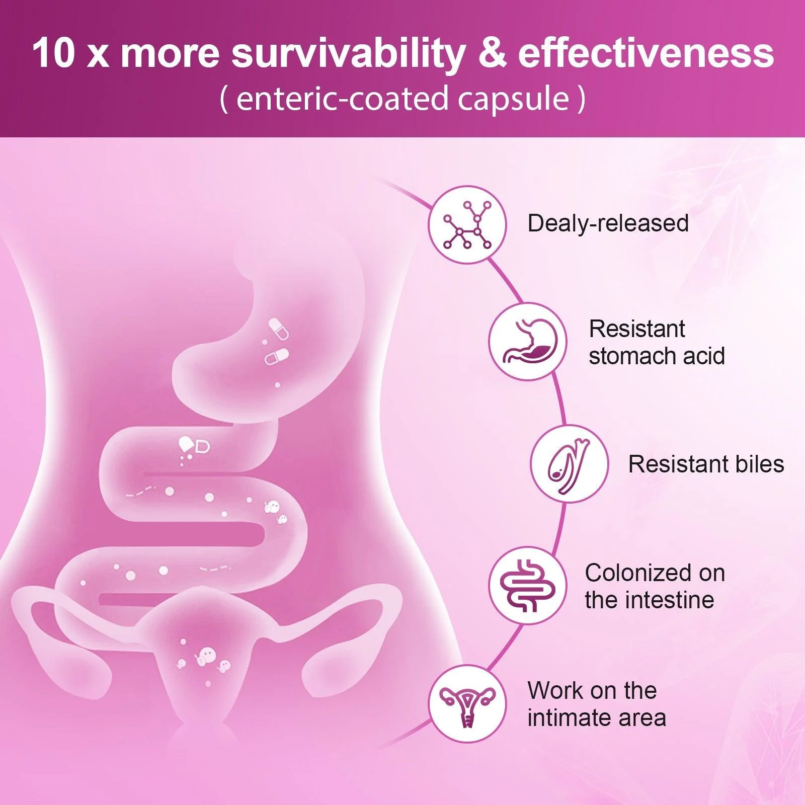 Women’s Gut Health Probiotics, 100 Billion CFUs, 90 Veggie Capsules - Image 2