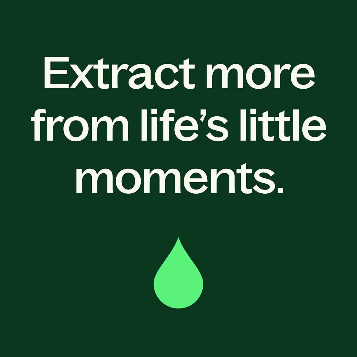 Wood Spice Essential Oil Blend - Image 4