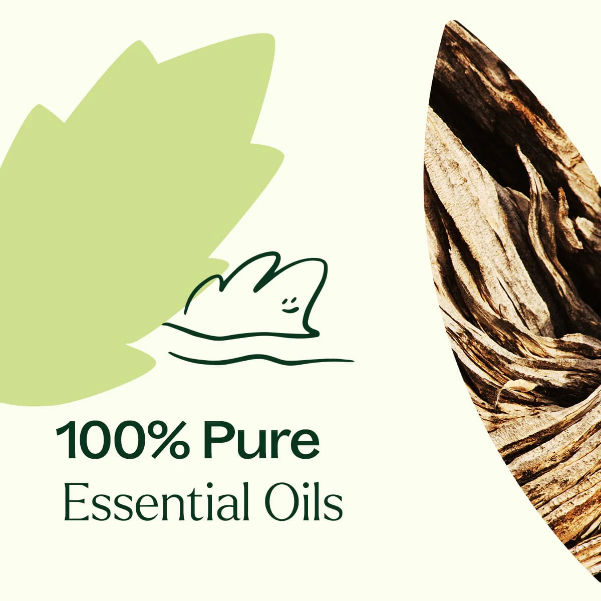 Wood Spice Essential Oil Blend - Image 6