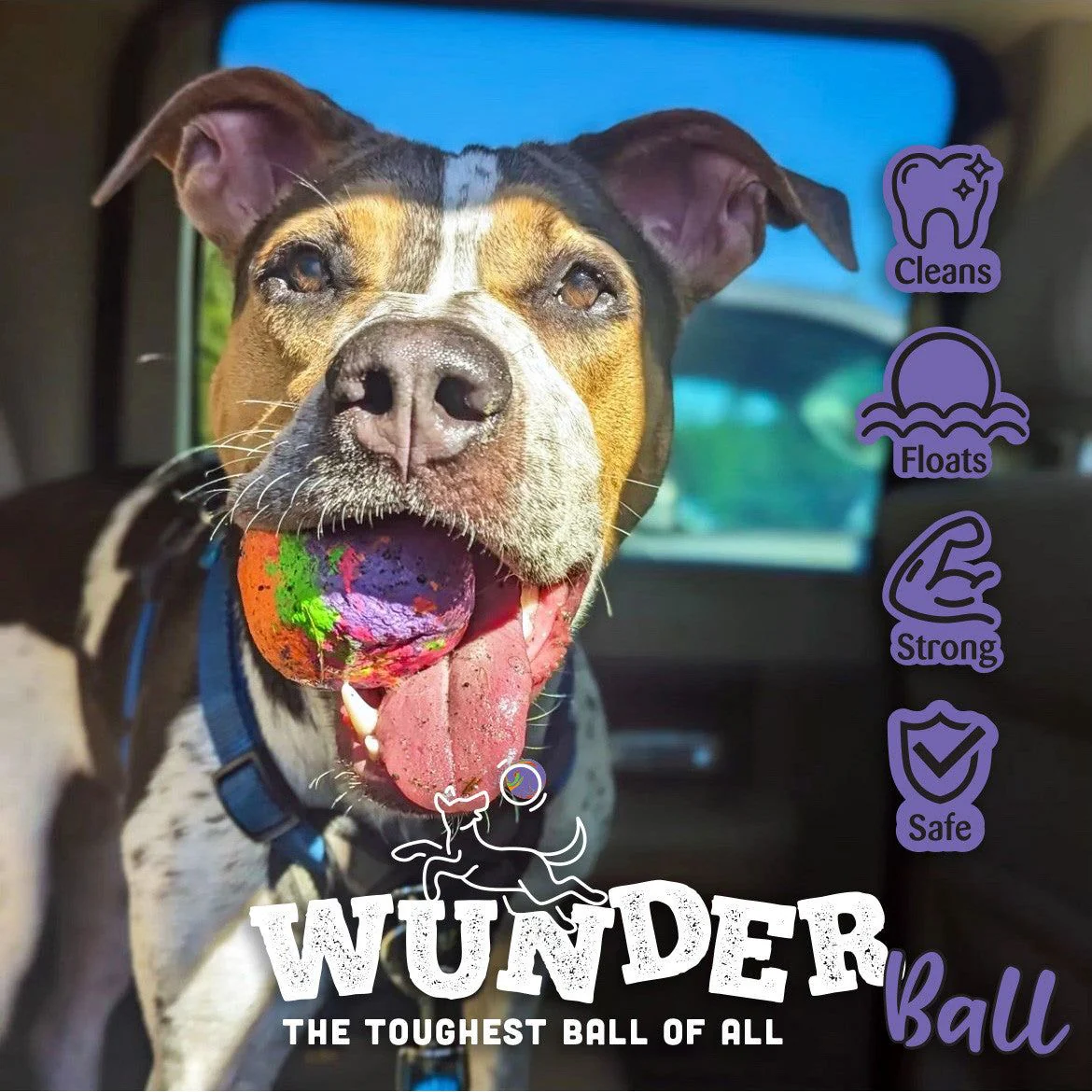 WUNDERball - Best Fetch Toy - Image 11