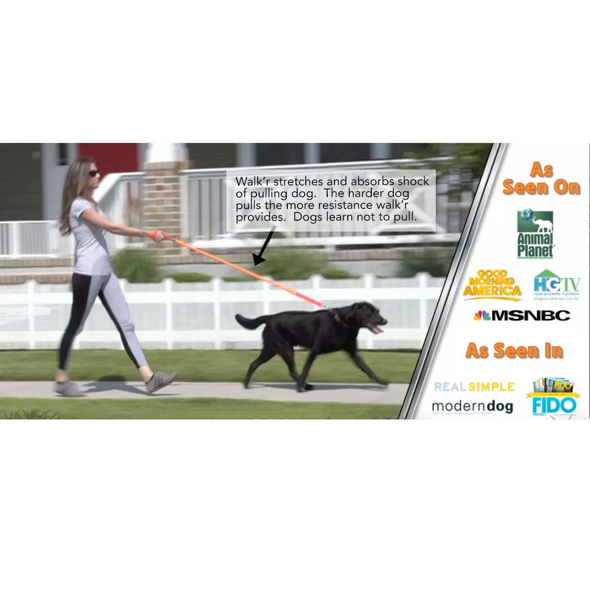 WUNDERleash – The Original No-Pull Dog Leash - Image 5